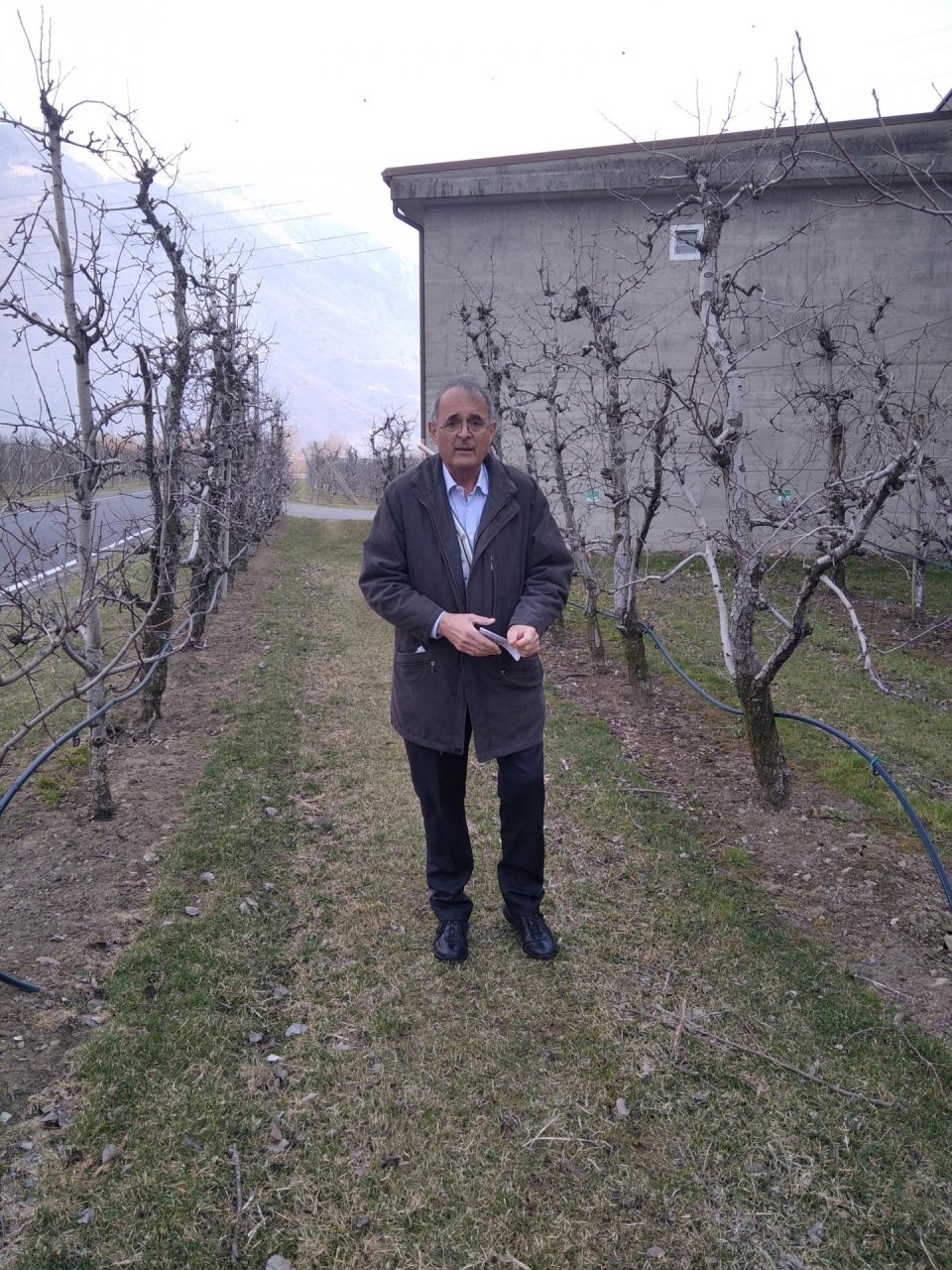 “Fermo la tangenziale al Tar”