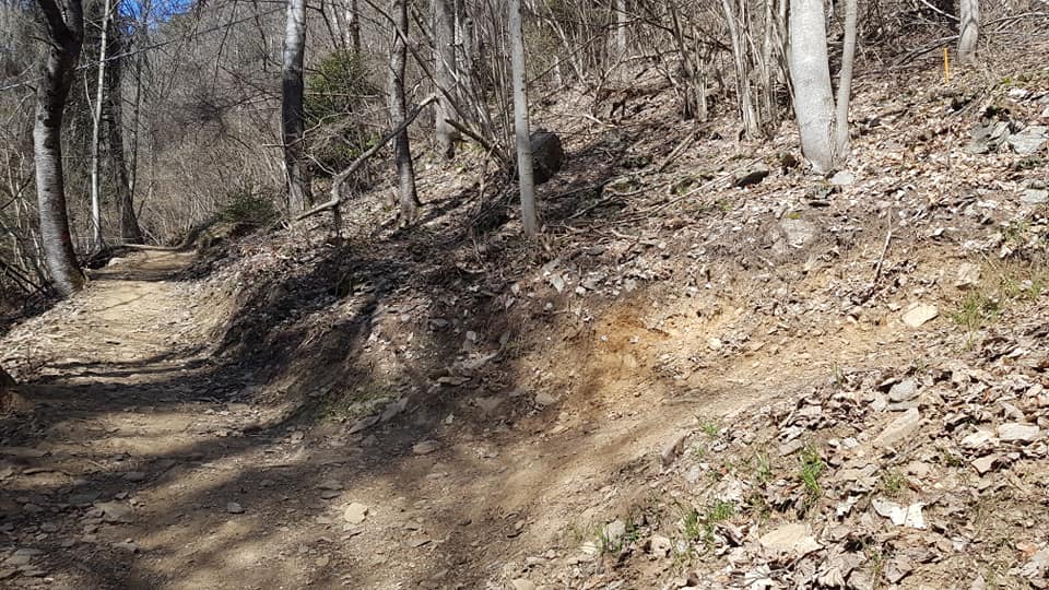 Distrutti e rubati i cartelli sui sentieri attorno ad Aprica