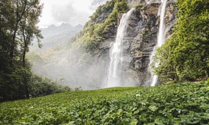 Slow Food Week Milano 2025: l’Acqua come origine e destino