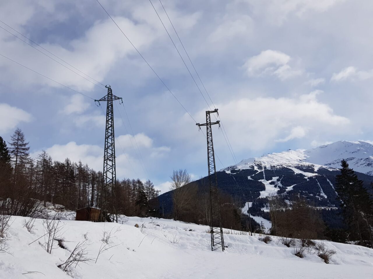 Isolati tredici pali per difendere gli uccelli