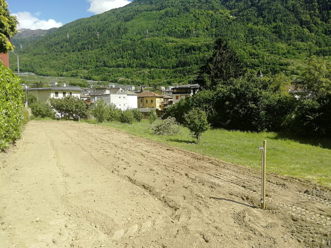 Orti urbani, boom di domande a Tirano