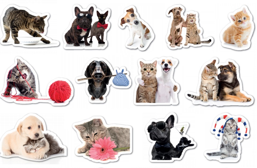 Originali stickers in regalo con Centro Valle