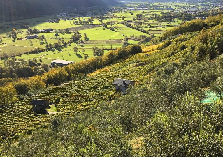 Da Regione Lombardia oltre 11 milioni per le Comunità Montane