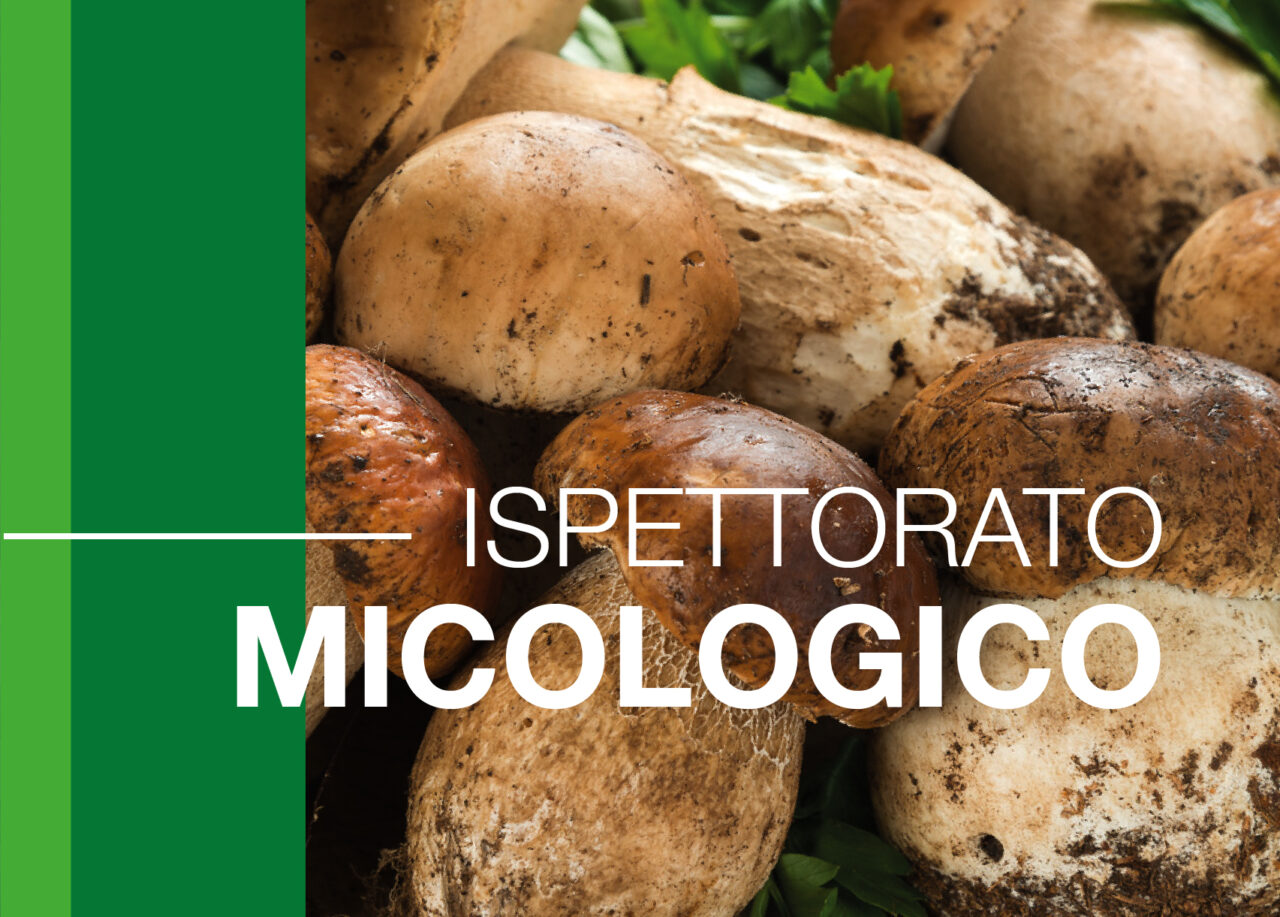 Funghi: al via una stagione in sicurezza