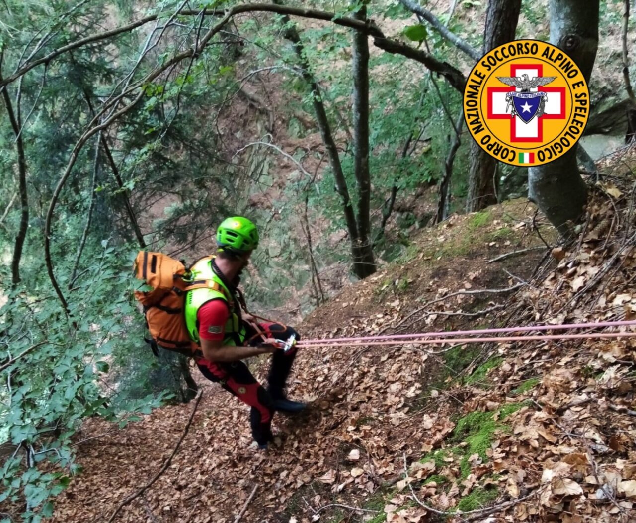Ancora non si trova il fungiatt scomparso sopra Fusine
