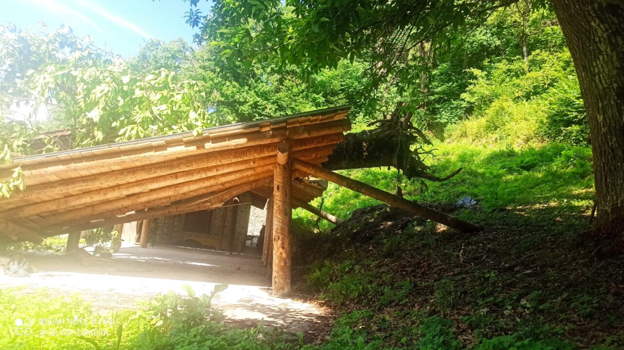 Una pianta si è abbattuta sulla casa Tananai