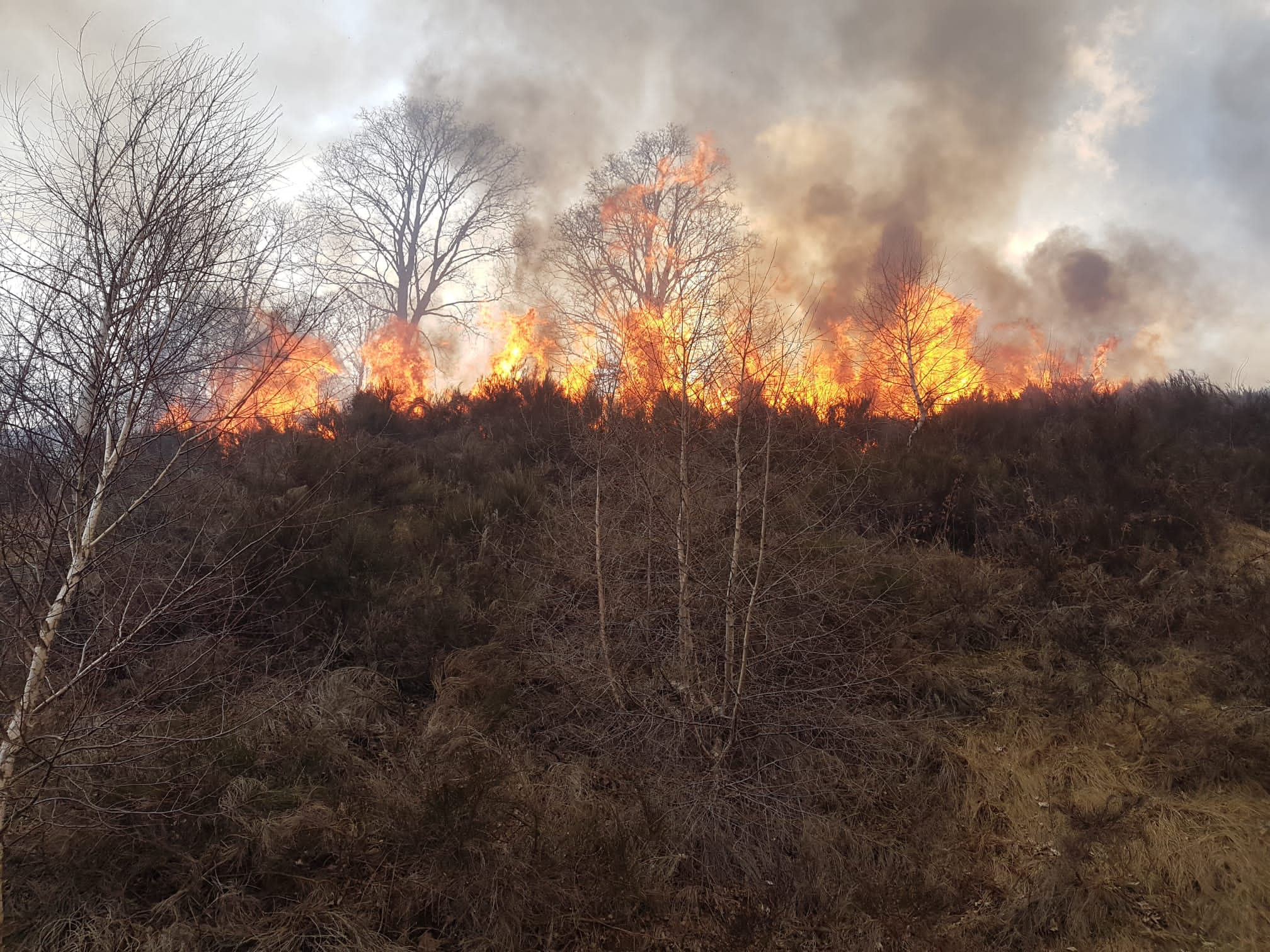 incendio garzeno (2)