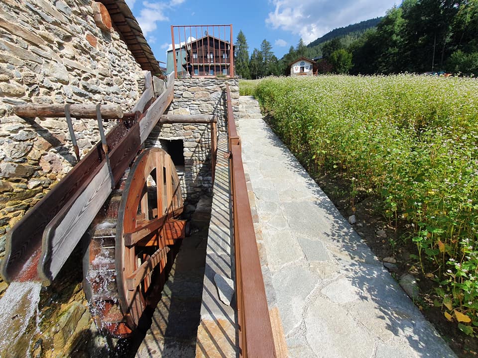 Successo di visitatori durante l’estate appena terminata per il Mulino dei Plaz