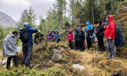 Alt(r)o Festival Val Malenco: mai visti così tanti 'Camminatori Erranti'