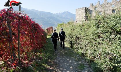 Carabinieri in campo per le Giornate FAI d'Autunno