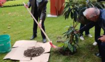 Associazione Volontari Ospedalieri ha piantato un albero nel giardino della Casa di riposo