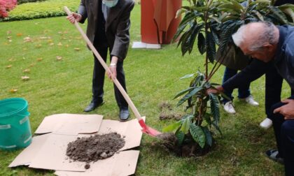 Associazione Volontari Ospedalieri ha piantato un albero nel giardino della Casa di riposo