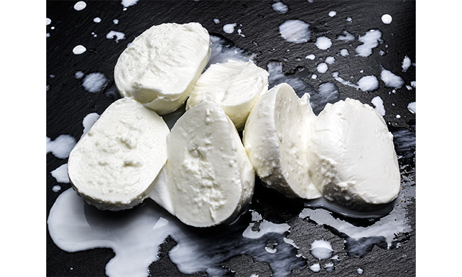 Le vere origini della mozzarella un prodotto tutto italiano