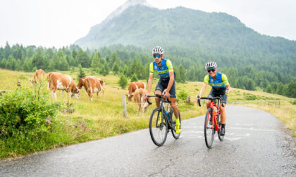 "Troppo silenzio da Bormio e Livigno"