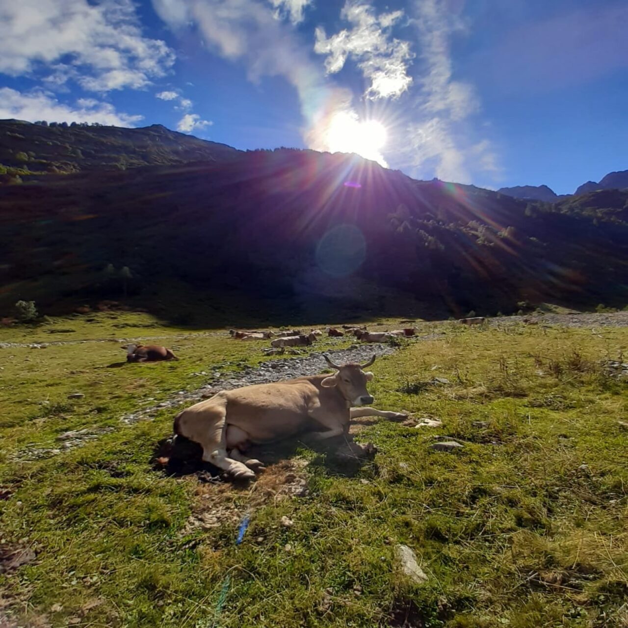 Premiati i vincitori del concorso fotografico