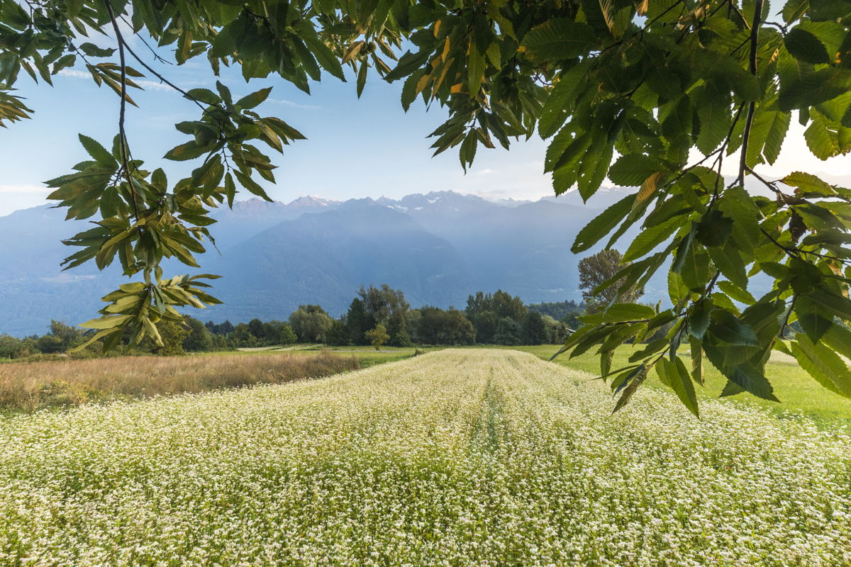 Giornata nazionale del trekking urbano: in crescita in Italia i “nuovi viandanti”