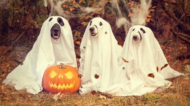 Cosa fare ad Halloween in Valtellina