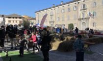Mostra del Bitto, la soddisfazione del Consorzio Turistico Porte di Valtellina