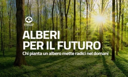 Gli alberi per il futuro anche in Valtellina