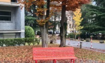 Una donna che non c'è più: una panchina rossa nel parco dell'Ospedale di Sondrio