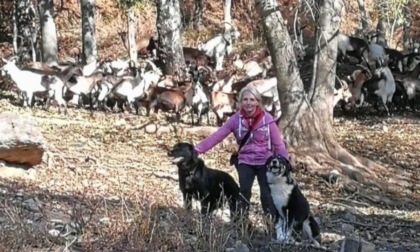 I lupi minacciano le capre sulle montagne, aiutiamo Cristina a difendere il suo gregge