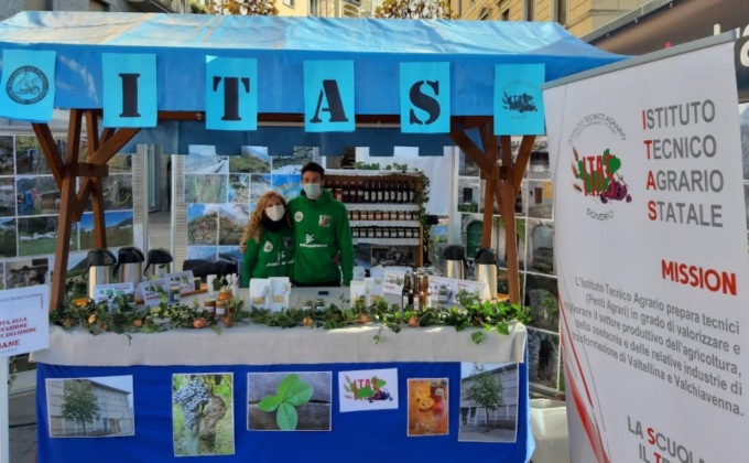 ITAS “Piazzi” di Sondrio Itas e Wine Trail: un connubio nel segno del territorio