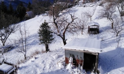 Bellano: allevamento isolato dalla neve, 60 animali rischiano la vita     