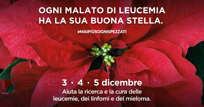 Appuntamento con le Stelle di Natale A.I.L