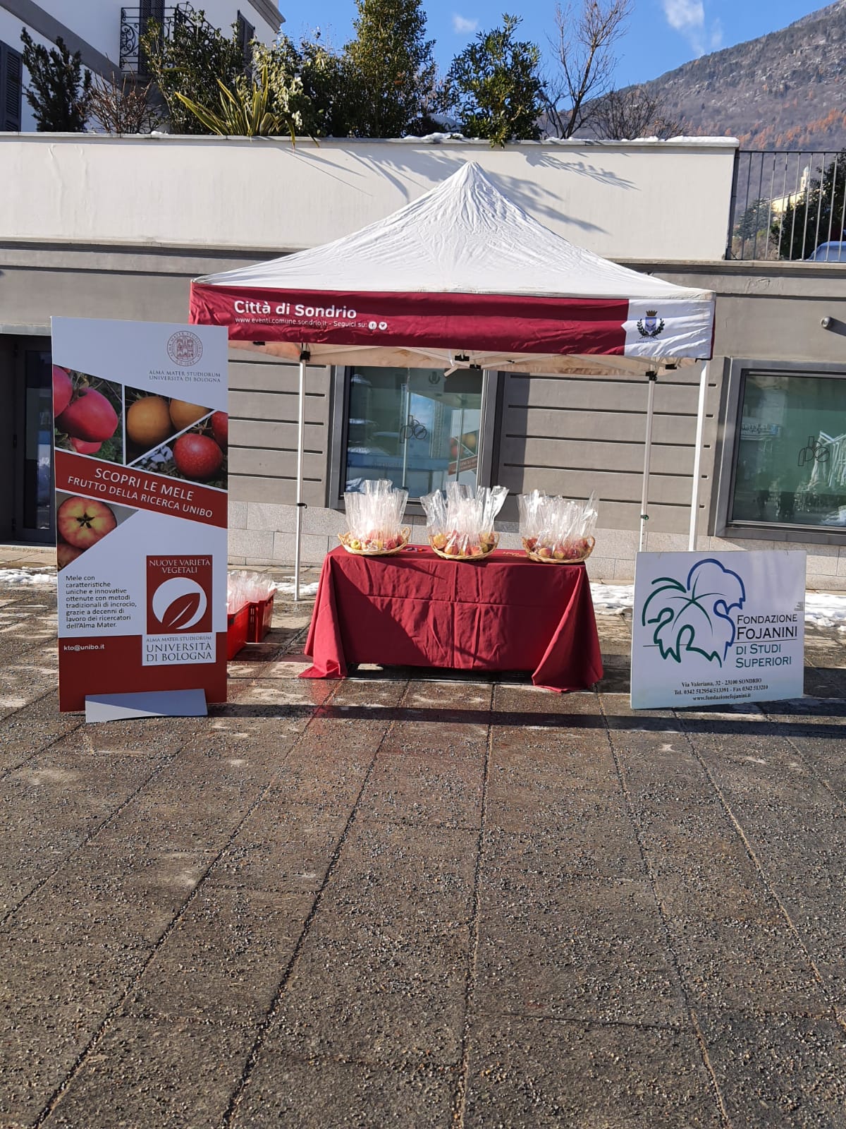 piazza 1