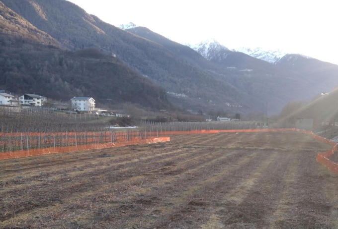 Tangenziale, Villa ancora non si arrende