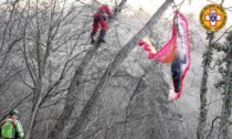 Quando  il parapendio diventa un incubo:  escursionista rimane appeso a un albero