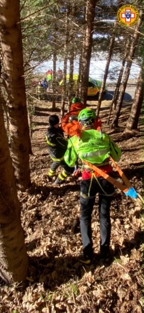 Fa un volo di 5 metri nel bosco, 66enne miracolata