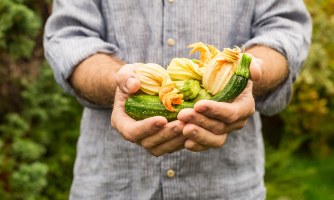 Facciamo l’orto in casa: da sabato 26 febbraio in regalo le zucchine