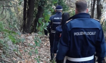 Droga nei boschi a Dervio: ora vengono multati gli acquirenti degli spacciatori