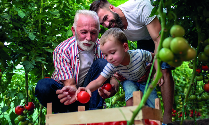 Tanti auguri papà green: mandate le foto e messaggi di auguri a Centro  Valle - Prima la Valtellina