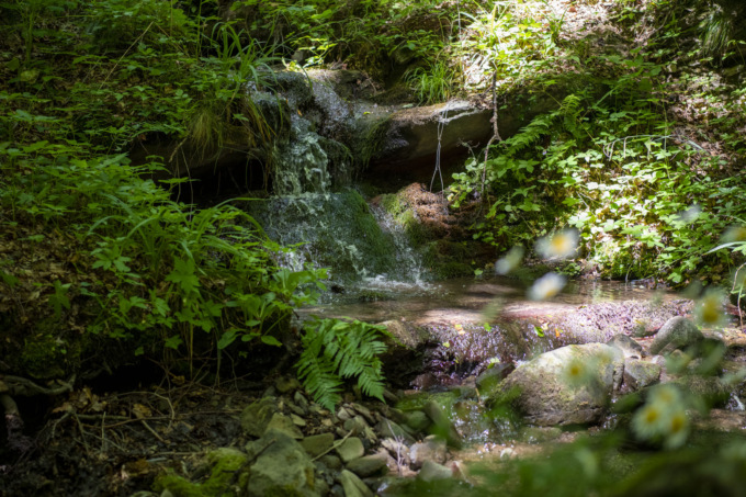 World Water Day 2022, Levissima ha risparmiato circa 16,4 milioni di litri in 4 anni