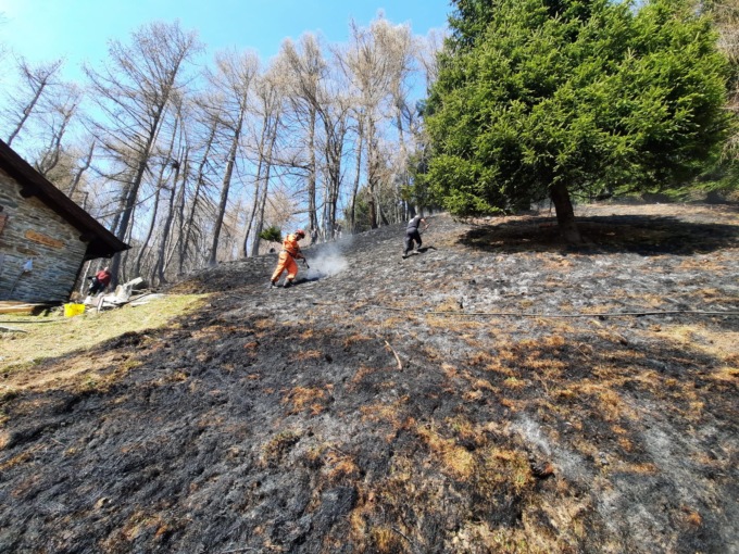 Accendono un fuoco vicino al bosco e scoppia un incendio
