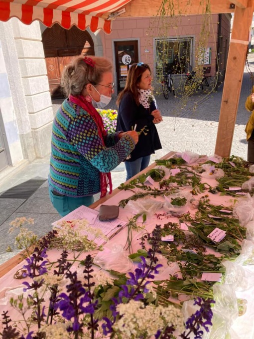 Festival delle erbe spontanee in Valposchiavo