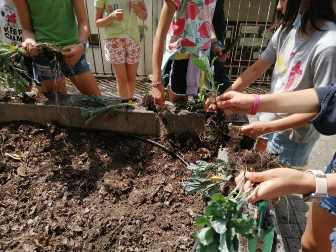Sostenibilità: importante riconoscimento per la scuola primaria di Triangia