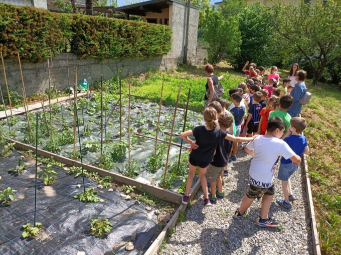 Giornata delle api e della biodiversità