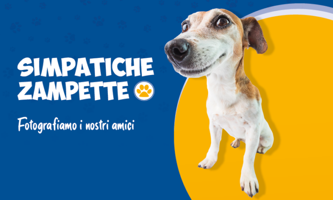 Torna Simpatiche Zampette: Fotografiamo i nostri amici animali