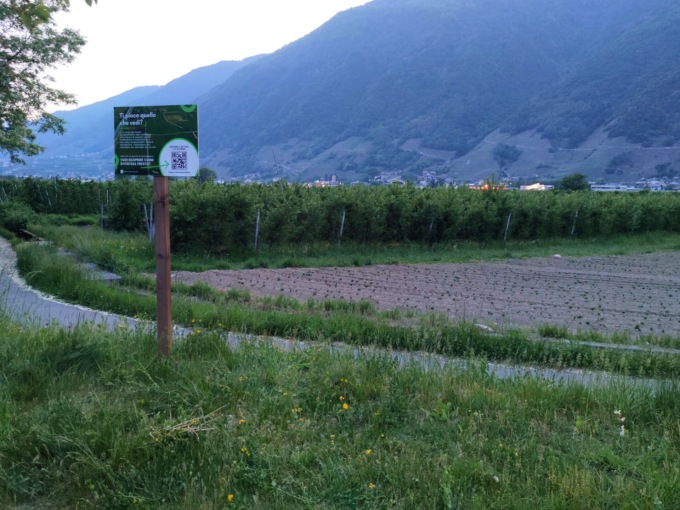 Terna avanti sulle sue posizioni