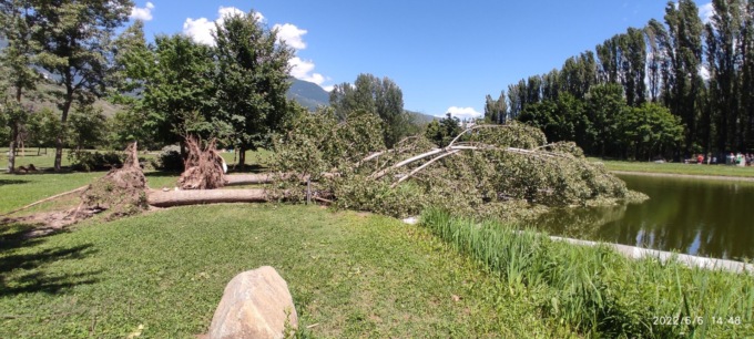 Il vento ha buttato giù trenta alberi a Sondrio