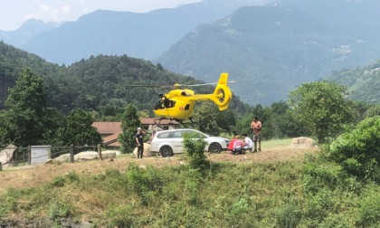 Un ramo lo colpisce mentre taglia legna, grave un uomo di 73 anni