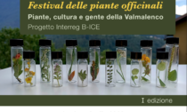 Festival delle erbe officinali in Valmalenco