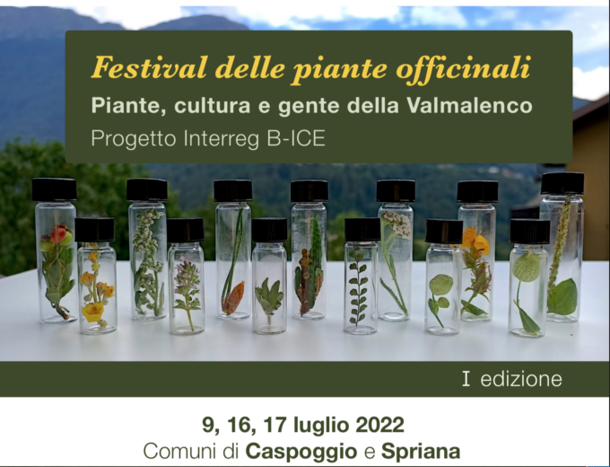 Festival delle erbe officinali in Valmalenco