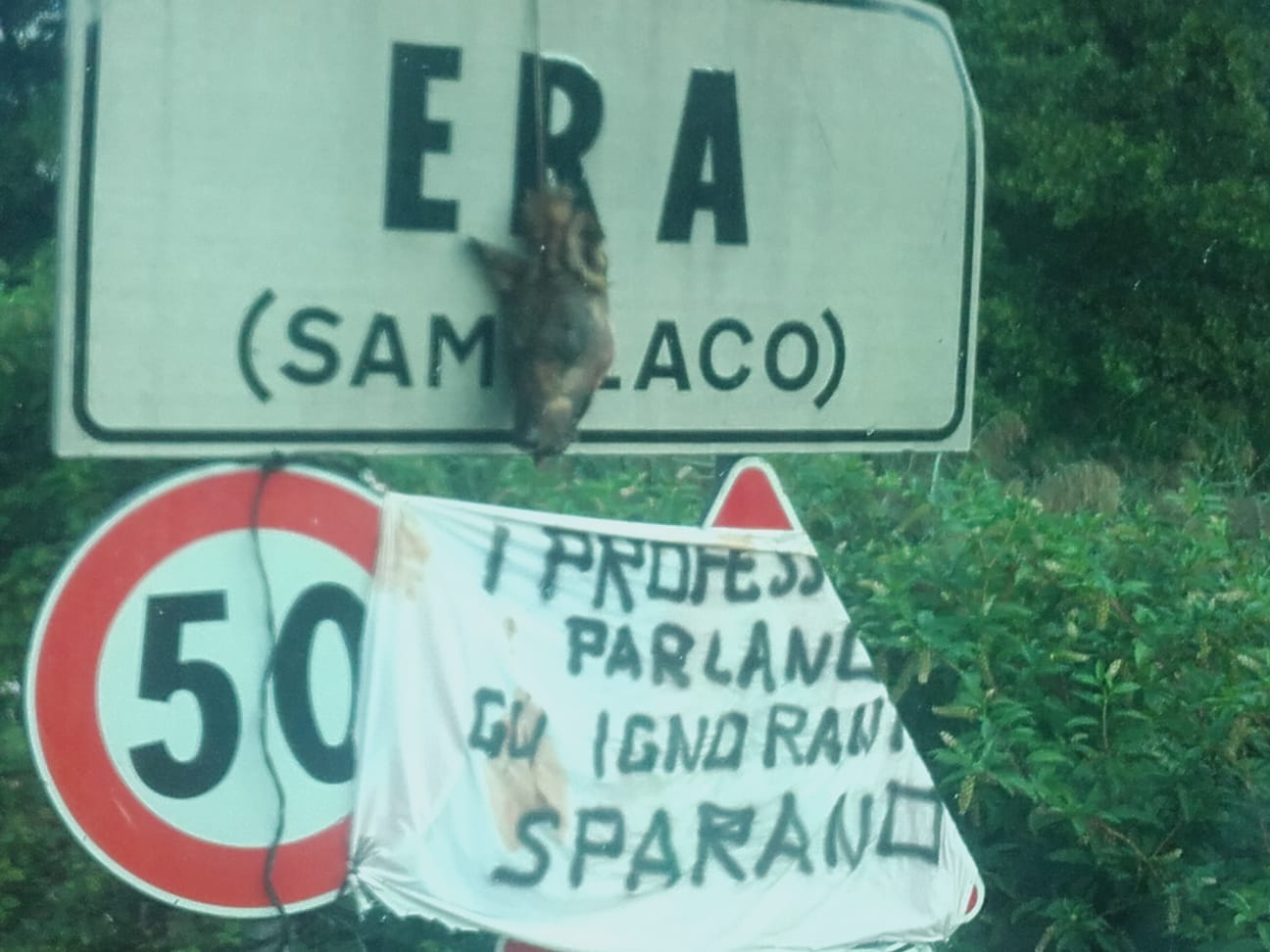 Samolaco: Testa di lupo appesa a un cartello - Prima la Valtellina