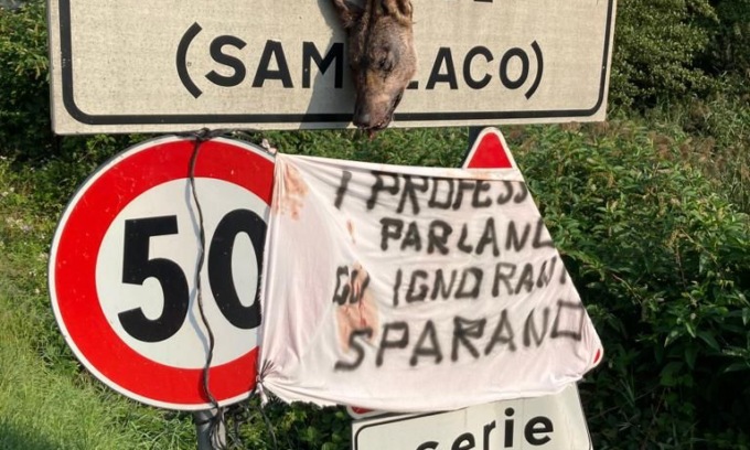 La denuncia degli animalisti: “In Valchiavenna vogliono sterminare i lupi”