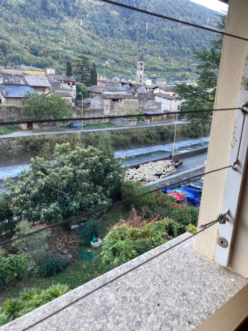 Un fiume di… pecore passa lungo l’Adda