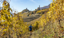 Valtellina Wine Trail: battuto il record di iscritti
